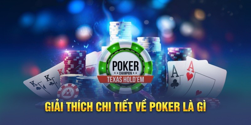 365 Ca Cuoc Cá Cược 365 Ngày Uy Tín Nhà Cái Hàng Đầu Châu Á